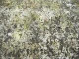 image of grave number 144792